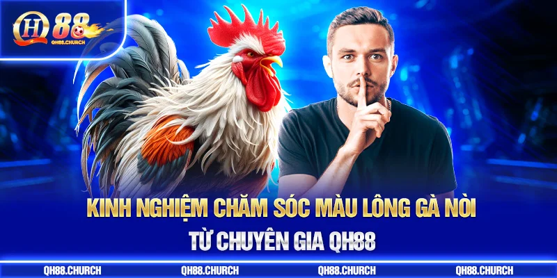 chăm sóc màu lông gà nòi
