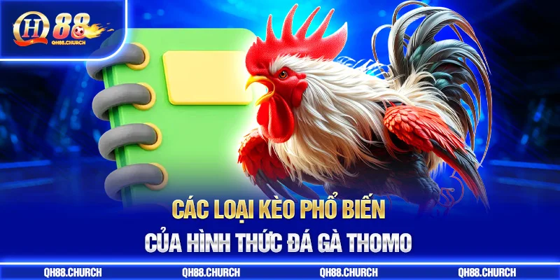 kèo đá gà thomo