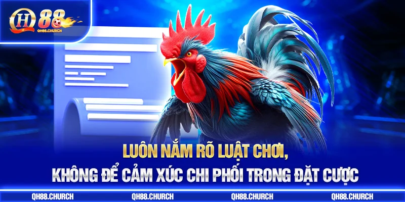 luật chơi đá gà qh88