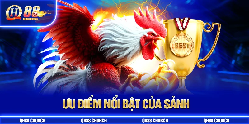 ưu điểm đá gà qh88
